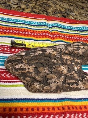Natural driftwood found on the James River
